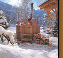 Spas Saunas