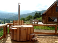 storvatt saint nectaire